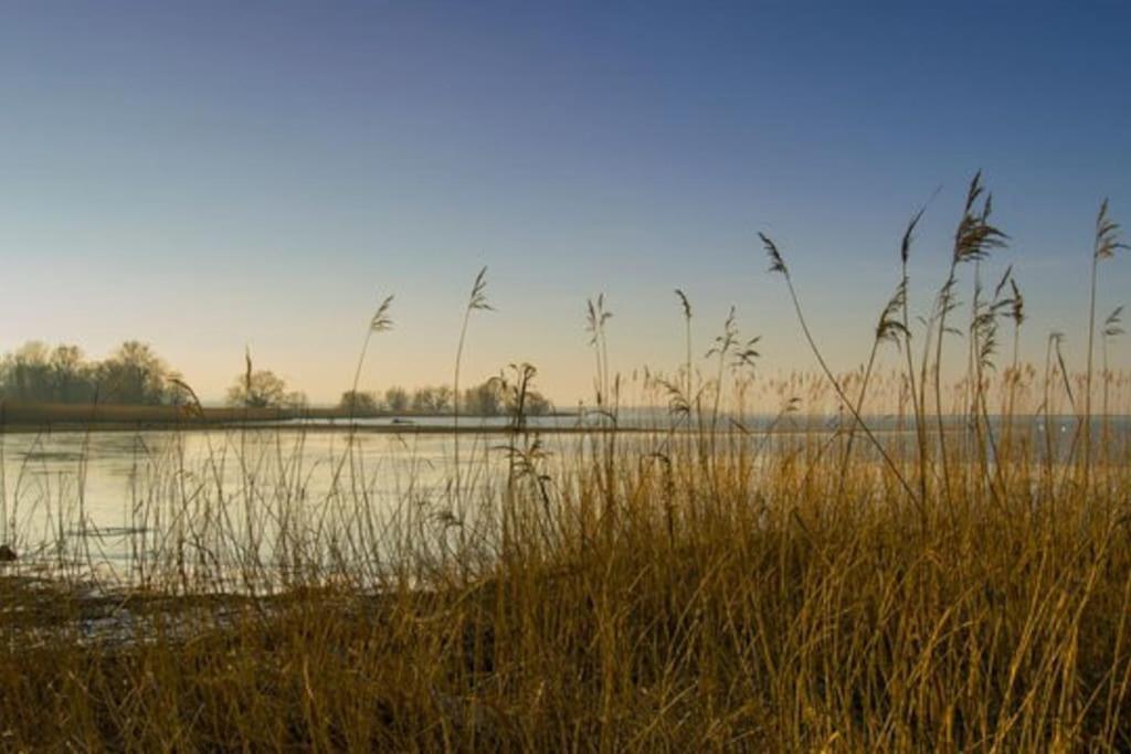 Bodensee Apartments, Sauna, Lake Walks, Free Parking, Self Checkin, Nature Reserve, Restaurants Nearby Gaissau  Luaran gambar